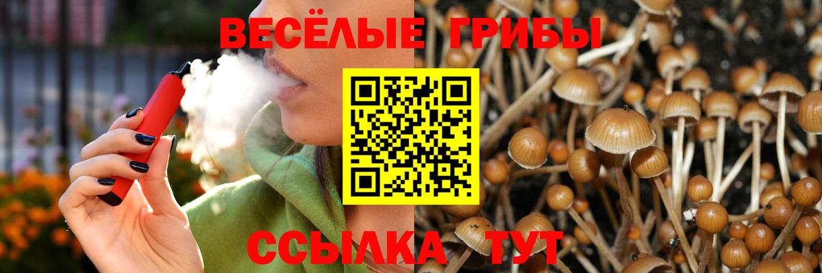 Псилоцибиновые грибы Cubensis  Вход с VPN  Кунгур 